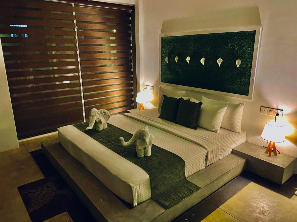8 Plus Motels Negombo Exteriör bild