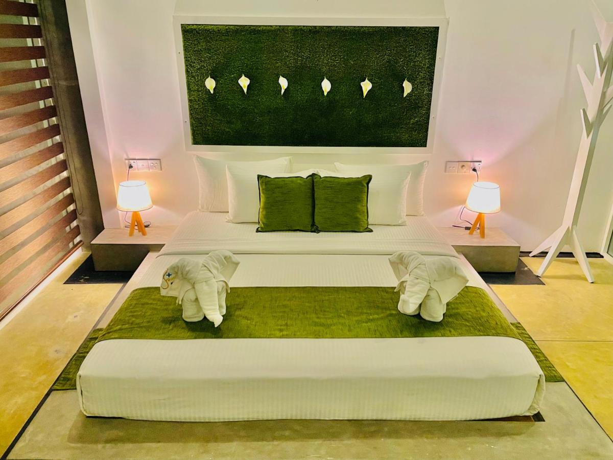 8 Plus Motels Negombo Exteriör bild