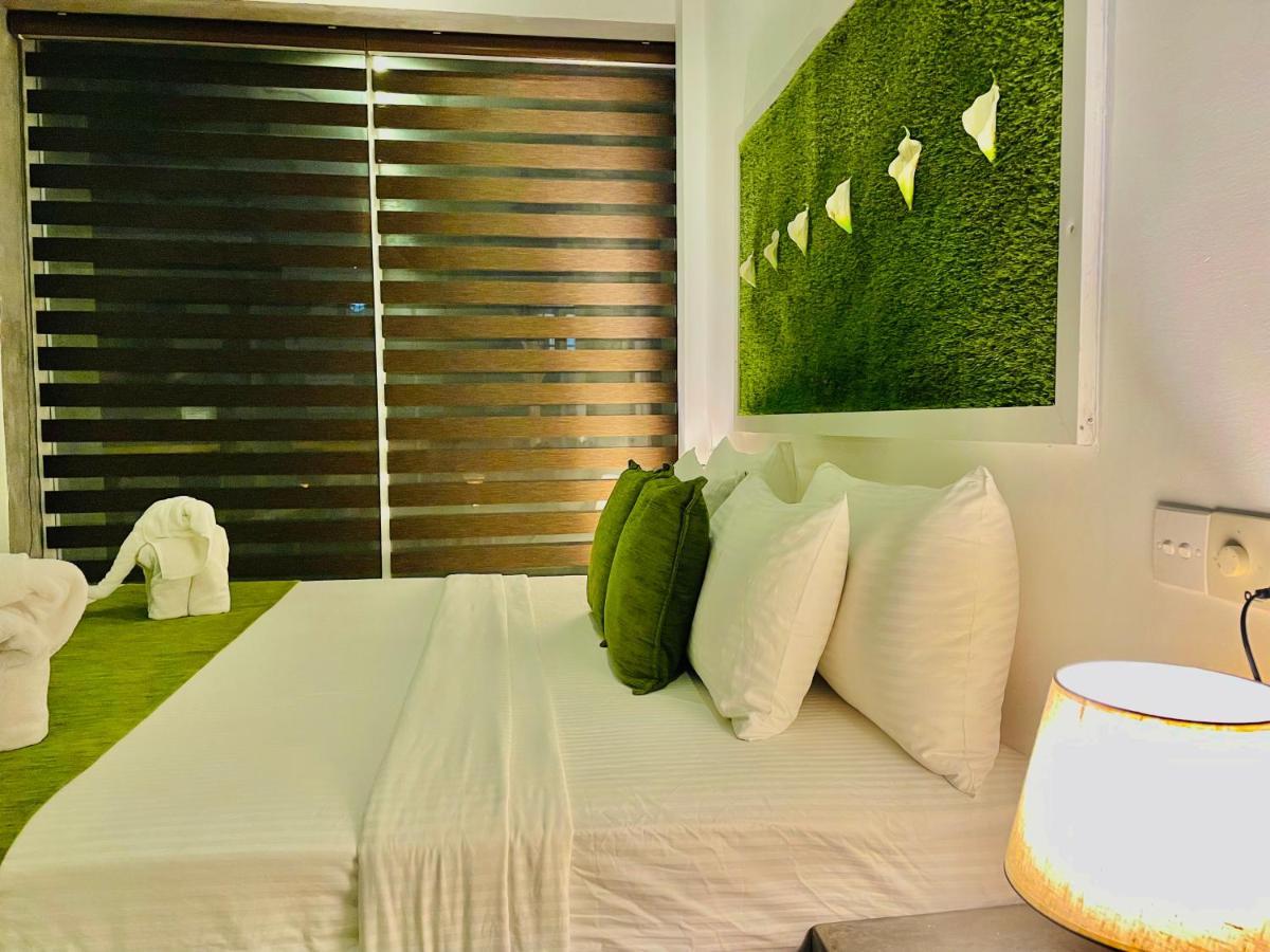 8 Plus Motels Negombo Exteriör bild